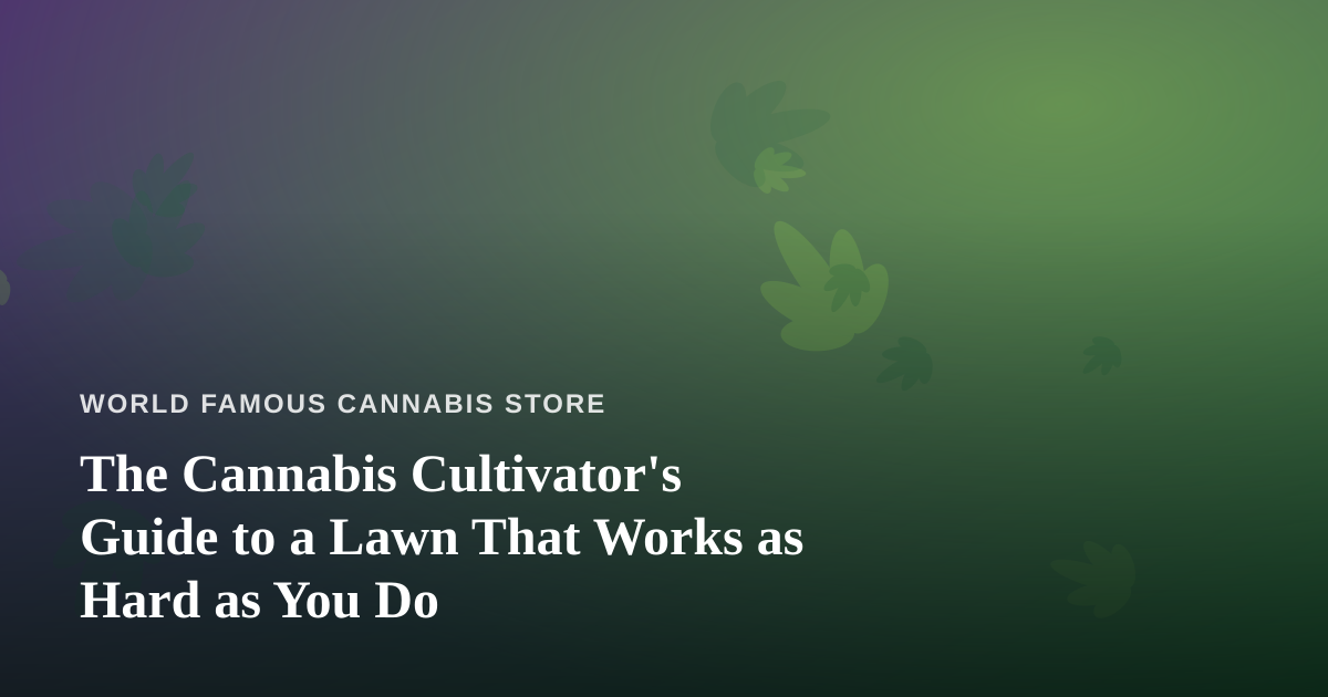 The Cannabis Cultivator’s Guide to a Lawn That Works as Hard as You Do