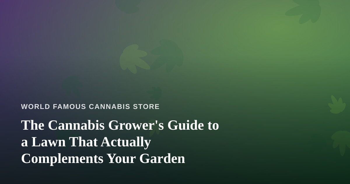 The Cannabis Grower’s Guide to a Lawn That Actually Complements Your Garden